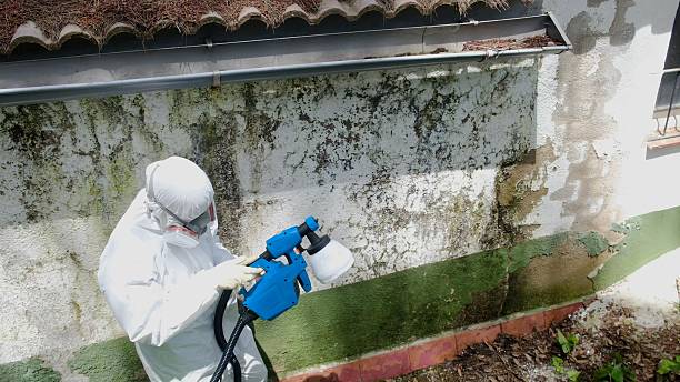 Trusted Bathroom Mold Removal service in Wrightsville, PA - Cheap Mold Removal